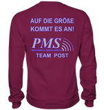 PMS 2.1 - Basic Sweatshirt